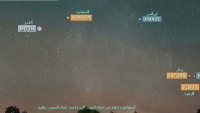 FB IMG 1771941525344