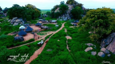 FB IMG 1772369295172