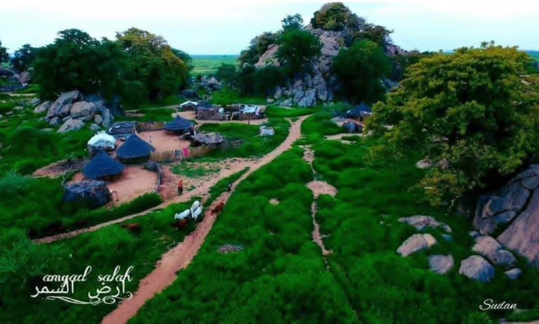 FB IMG 1772369295172