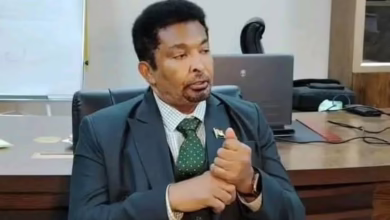 FB IMG 1774888375218