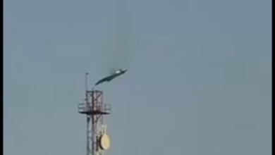 IMG ٢٠٢٦٠٣٠٢ ١٠٠٧٥٢