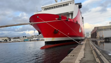 IMG ٢٠٢٦٠٣٢٦ ٢٢٣٩٢٠