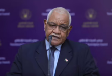 رئيس مفوضية السلام، البروفيسور سليمان الدبيلو