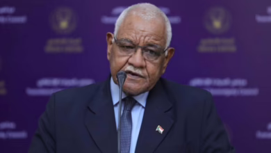 رئيس مفوضية السلام، البروفيسور سليمان الدبيلو