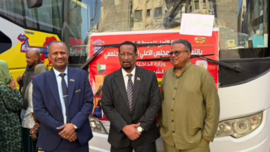 motion photo 6261024082967507223 768x576 1