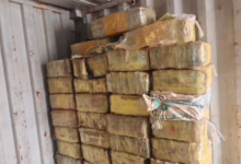 IMG 20260615 WA10781
