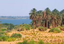 محلية دنقلا في السودان