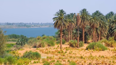 محلية دنقلا في السودان