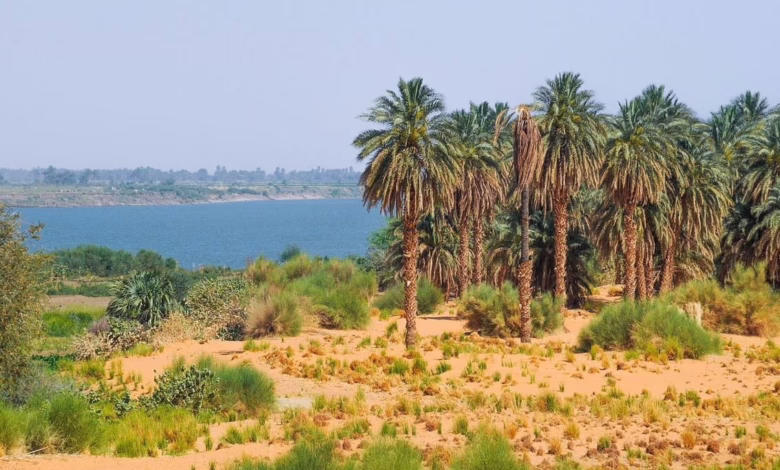 محلية دنقلا في السودان
