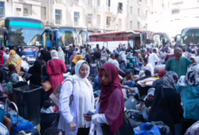 العودة الطوعية