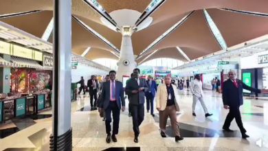 لقطة شاشة 2026 10 28 101111